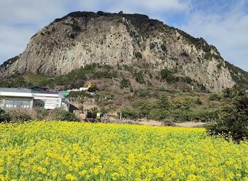 south-korea/jeju-city/attraction/sanbang-mountain