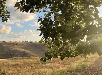 jordan/irbid/attraction/matl-ghadan-naltaqi