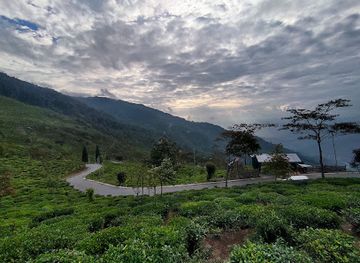 india/eastern-india/attraction/tinchuley