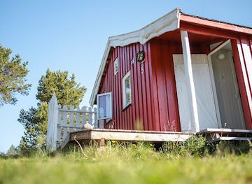 norway/senja-island/attraction/norwegian-wild
