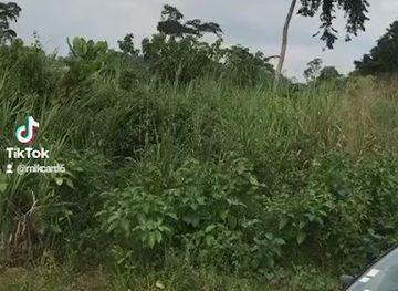 cameroon/south-region/attraction/ahala