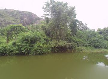 sri-lanka/sigiriya/attraction/murungahiti-kanda