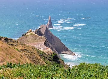 new-zealand/hawke-s-bay/attraction/gannet-safaris-overland-ltd