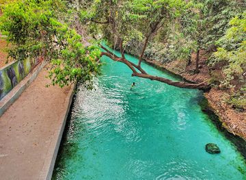 nigeria/barup-waterfall/attraction/yankari-game-reserve