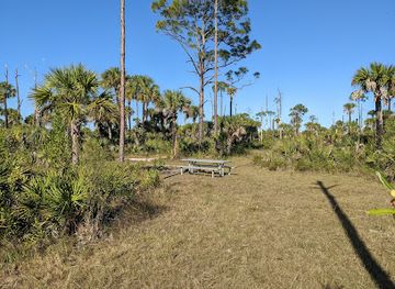 florida/big-cypress-national-preserve/attraction/trail-head-big-cypress-national-preserve-mile-marker-70-hike-in-only
