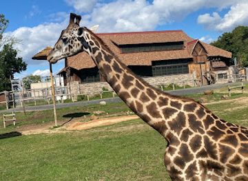 new-jersey/raritan-valley/attraction/essex-county-turtle-back-zoo