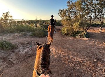 morocco/agadir/attraction/agadir-camel-horse-riding