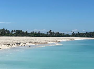 maldives/gnaviyani-atoll/attraction/gaukendi-turtle-point