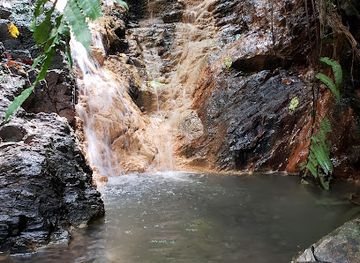 trinidad-and-tobago/edith-falls/attraction/covigne-river-gorge