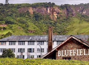 sri-lanka/ella/attraction/bluefield-tea-factory