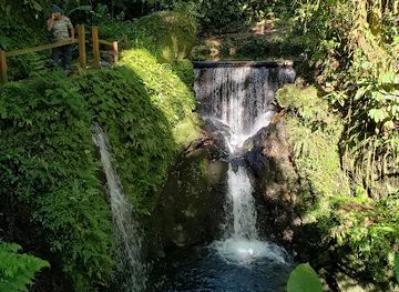 costa-rica/sarapiqui/attraction/pozas-la-presa