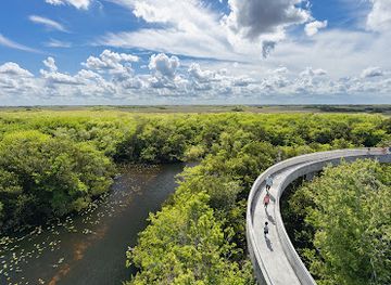 florida/big-cypress-national-preserve/attraction/shark-valley-observation-tower