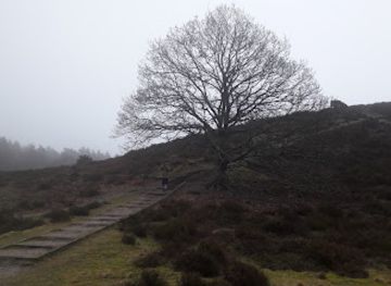 denmark/ribe/attraction/mount-farup