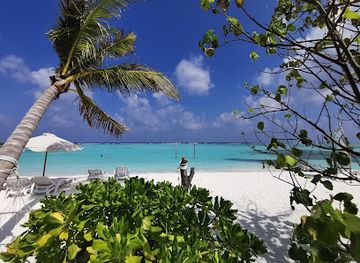 maldives/male-atoll/attraction/araamu-beach