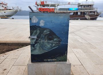 montenegro/moraca/attraction/bica-iz-mora-creatures-of-the-sea-by-jana-farkas