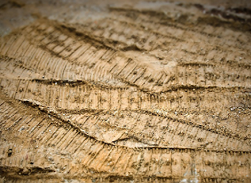 west-virginia/hatfield-mccoy-mountains/attraction/the-mud-pit-atv-resort