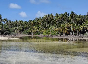 maldives/meemu-atoll/attraction/kulhi-natural-swamp