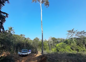 malaysia/taman-negara-national-park/attraction/cabintea