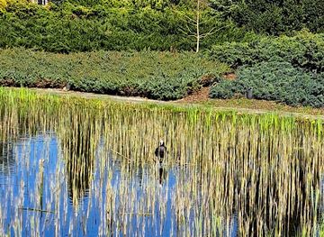 netherlands/betuwe/attraction/botanical-gardens-wageningen