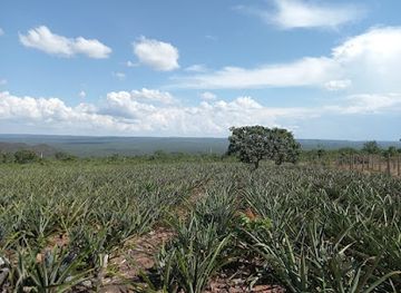 brazil/chapada-dos-guimaraes-national-park/attraction/sitio-rodrigues