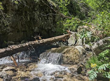 new-mexico/taos-ski-valley/attraction/italianos-canyon-trail-59-trailhead