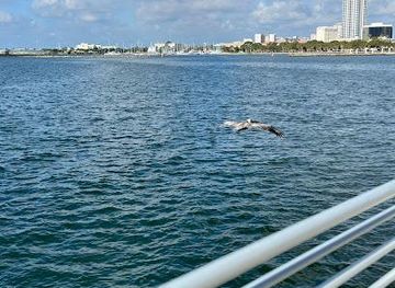 florida/sarasota/attraction/st-petersburg-pier