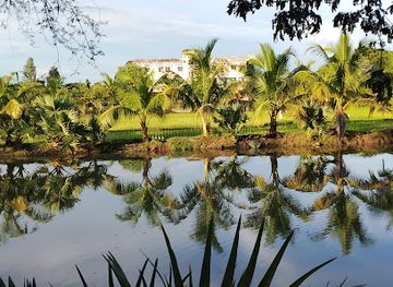 bangladesh/sundarbans-national-park/attraction/drishti-nandan