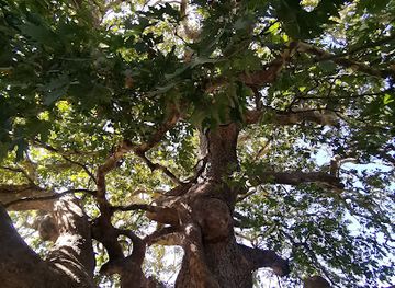 greece/samaria-gorge/attraction/fountain