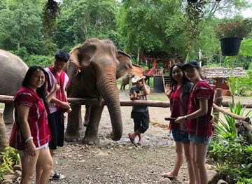 thailand/chiang-mai/attraction/chiang-mai-private-guided-tour-by-richard