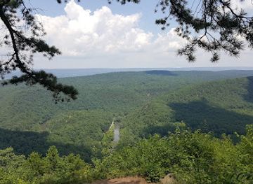 pennsylvania/bald-eagle-state-park/attraction/penn-s-view-overlook