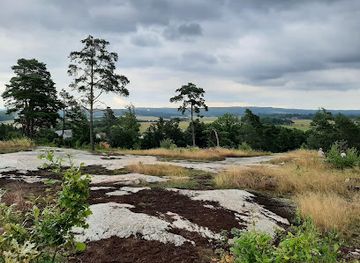 sweden/bohuslan/attraction/aspeberget-rock-carvings