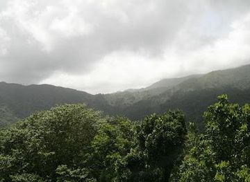 puerto-rico/fajardo/attraction/bespoke-lifestyle-management