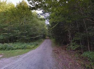 vermont/molly-falls-state-park/attraction/roy-mountain-wildlife-management-area