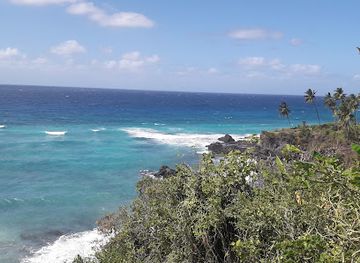 comoros/dimani/attraction/seleani