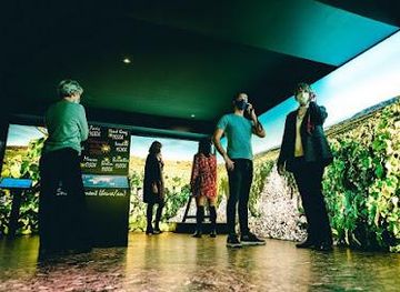 france/nimes/attraction/wine-museum-brotte