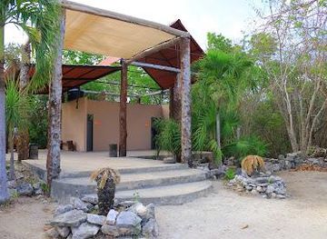 mexico/tulum/attraction/selva-maya-eco-adventure