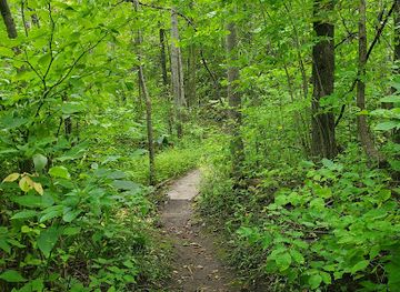 michigan/petoskey/attraction/bubbling-springs-nature-preserve