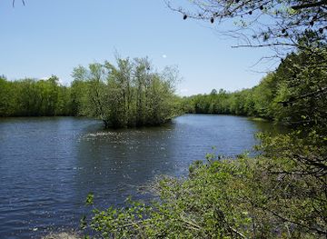 maryland/blackwater-national-wildlife-refuge/attraction/idylwild-natural-area