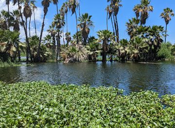 mexico/baja-california-peninsula/attraction/estero-san-jose