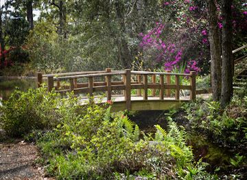 alabama/mobile/attraction/mobile-japanese-garden