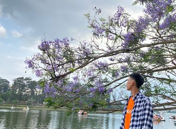 vietnam/dalat/xuan-huong-lake/attraction/phuong-tim-ben-ho-xuan-huong