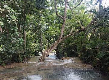 jamaica/runaway-bay/attraction/dunn-s-river-falls