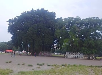 indonesia/java/attraction/sego-pincuk-alun-alun-utara-yogyakarta