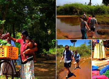 sri-lanka/north-central-province/attraction/habarana-cultural-safari-tours