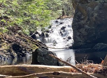 maine/biddeford/attraction/clifford-park