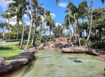 aruba/eagle-beach/attraction/palm-beach