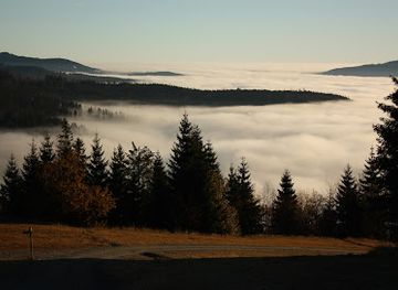 germany/altbayern/attraction/bayerischer-wald-e-v-nature-park