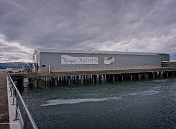 australia/tasmania/attraction/platypus-house