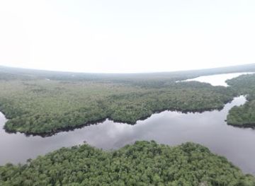 panama/ngabe-bugle-comarca/attraction/damani-guariviara