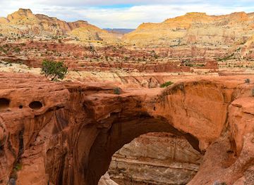 utah/canyonlands/attraction/cassidy-arch